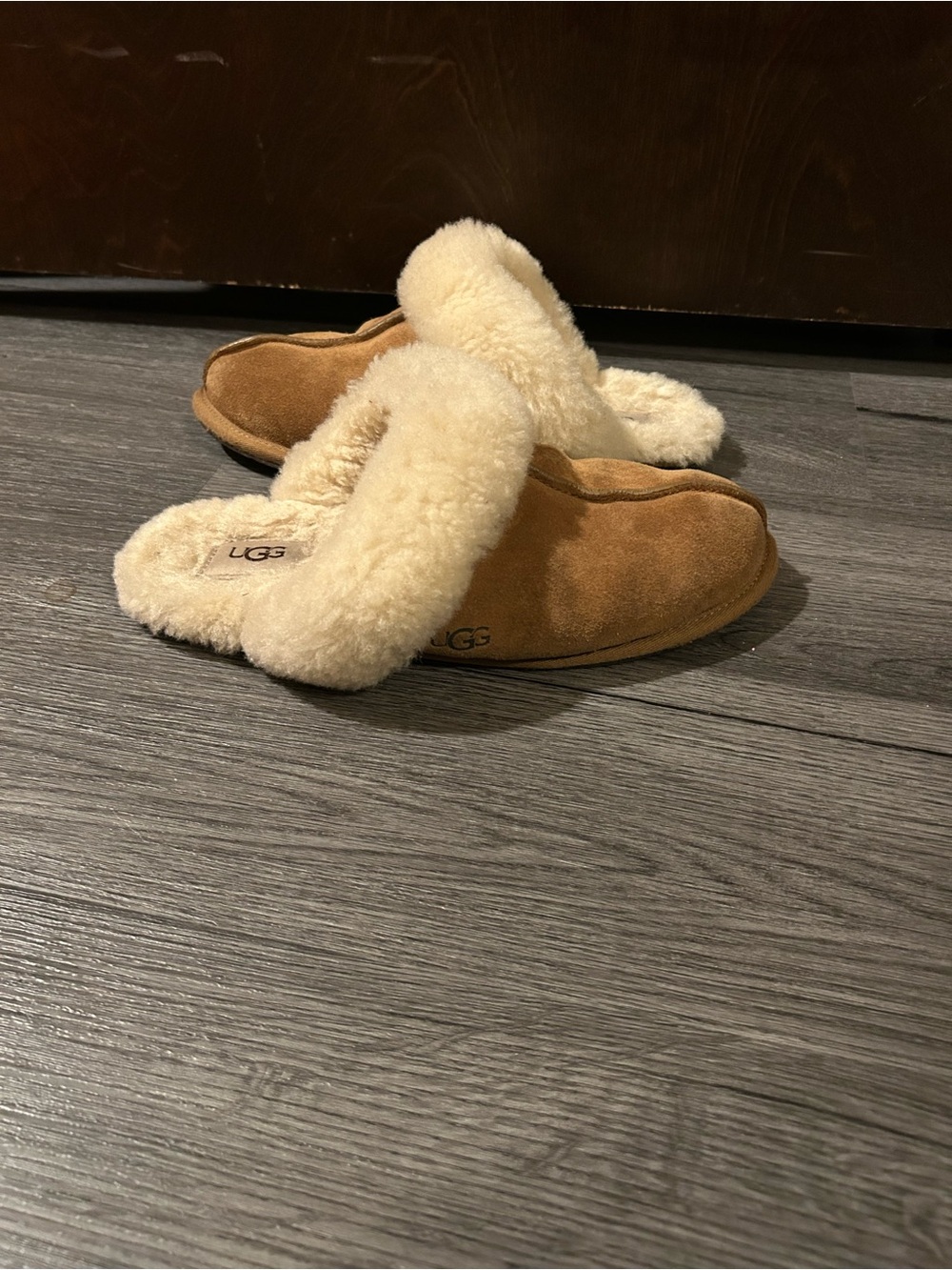 UGG Women's Tasman Mule Slipper - Chestnut Suede with Cream Sheepskin